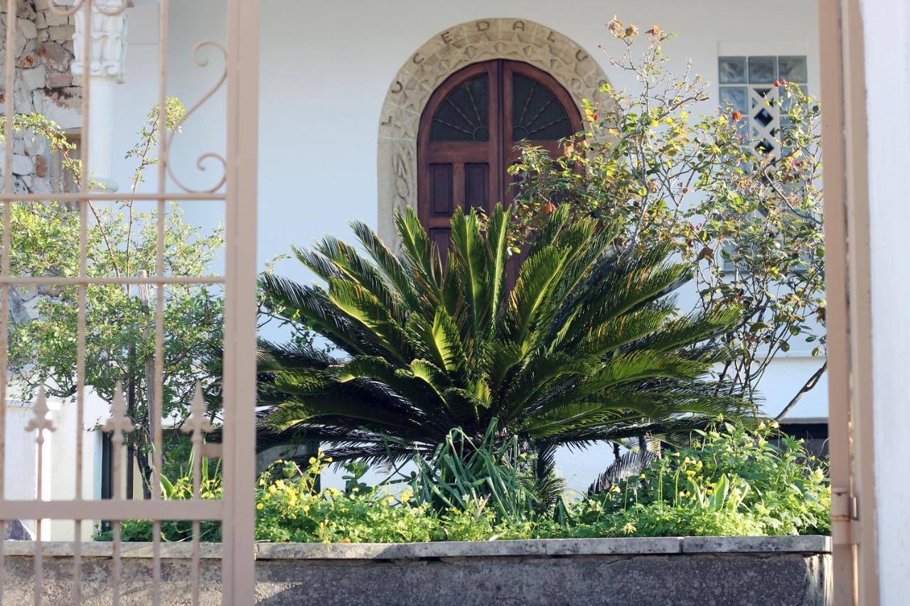 Casa Vacanza D'Arte Salentina Hotell Specchia Exteriör bild